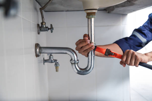 Best Drain Cleaning Services  in Lford, MI